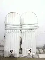 SS cricket kit