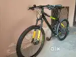Bergamount Roxter Edition 2 Large