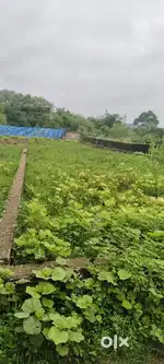 Naya Paras Shiv vihar hemu Nagar