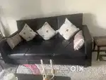 Pure leather black sofa