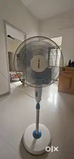 BAJAJ Pedestrian Fan