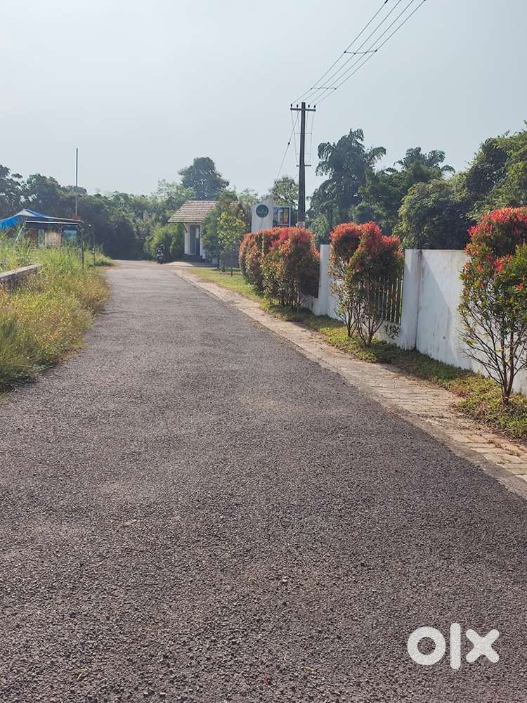 Housing plot for sale at taliparamba parapool