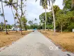 Varappuzha kongorpoilly house plot for sale per cent ₹4.5 lakh
