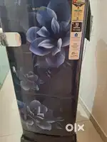 Move out sale fridge