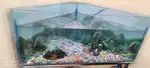 Fish aquarium