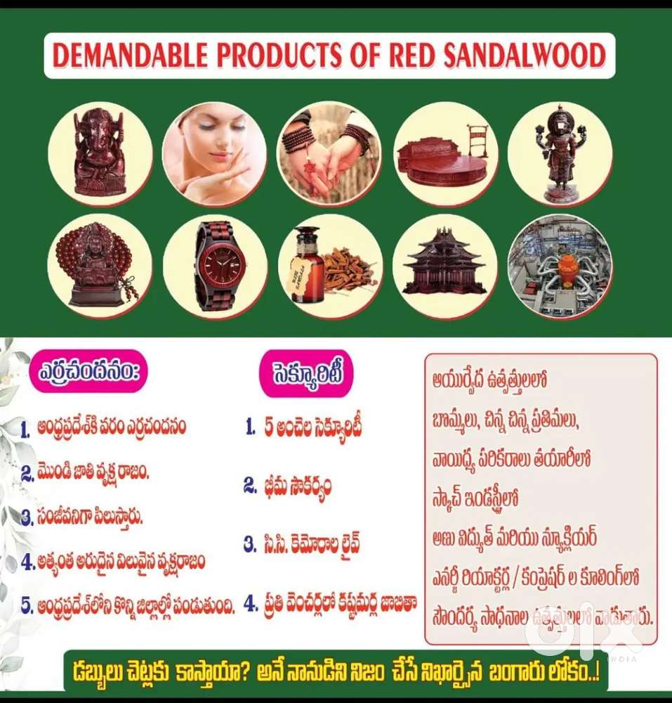 Plot for sale in kadapa with Red sandal wood plants
