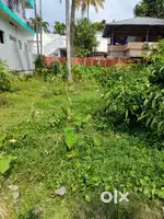 5 CENT HOUSE PLOT SALE MADAVANA