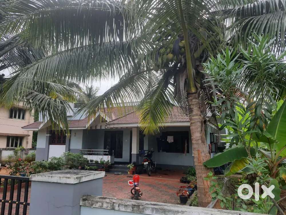 Individual 3 bedroom villa for rent