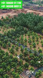 Farm land for sale near River