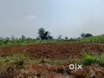 Six guntas land under honga Gram Panchayat