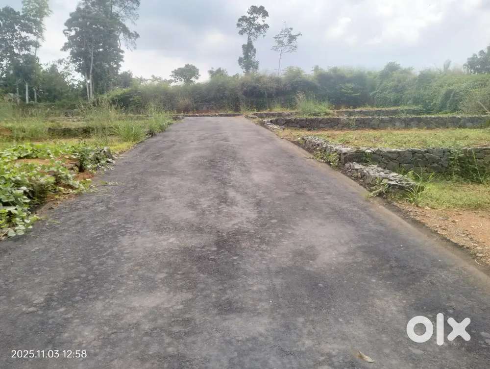 Ernakulam Thiruvaniyoor nadukurish main road area plot for sale