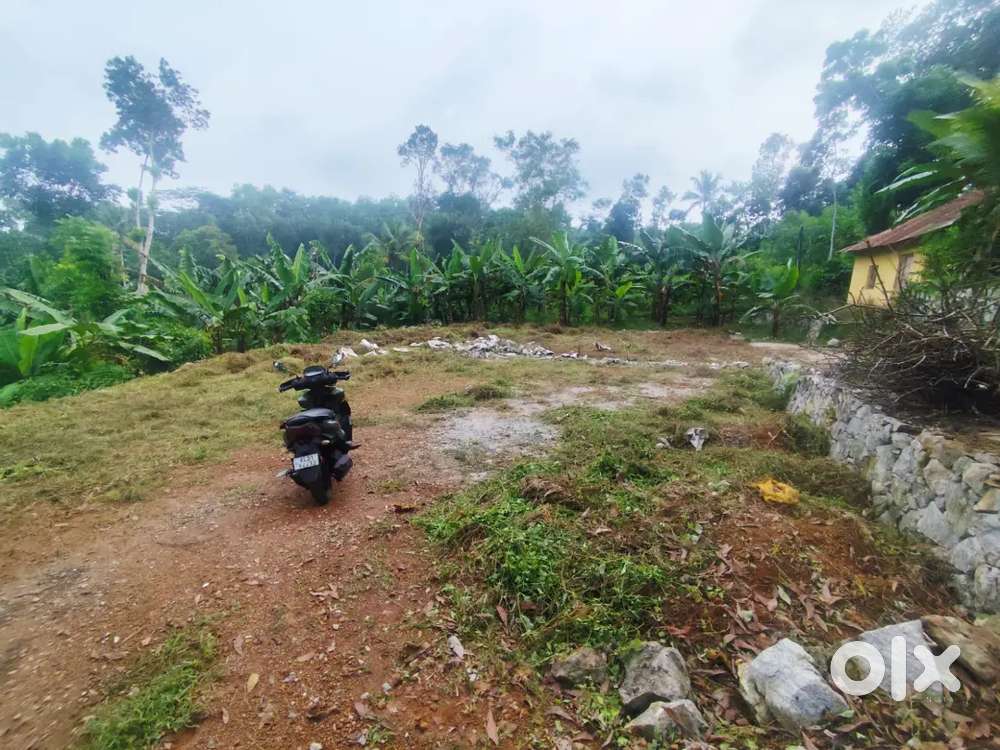 Residential plot for sale total 10 cent.