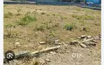 Registered plot for sale near RVS engineering college.