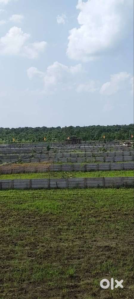 BOOK YOUR DREAM FARMS