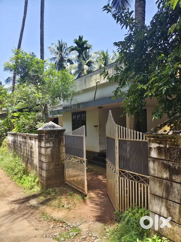 A single storied house
