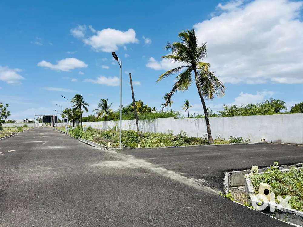 CORPORATION LIMIT @  SNS ART'S