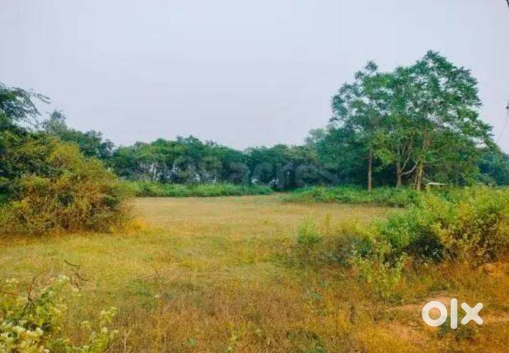 Plot sale for future investment