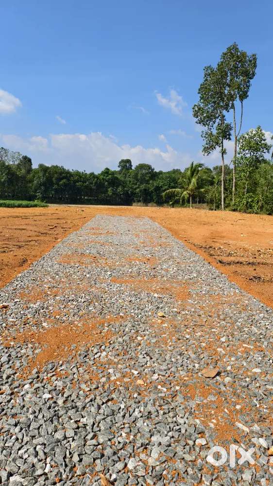 ചേർപ്പുങ്കൽ പള്ളിക്ക് സമീപം ഹൗസ് പ്ലോട്ടുകൾ വിൽപ്പനയ്ക്ക്