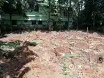8.25 cents of land behind Koratty Infopark for sale
