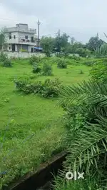 Farm house for sale