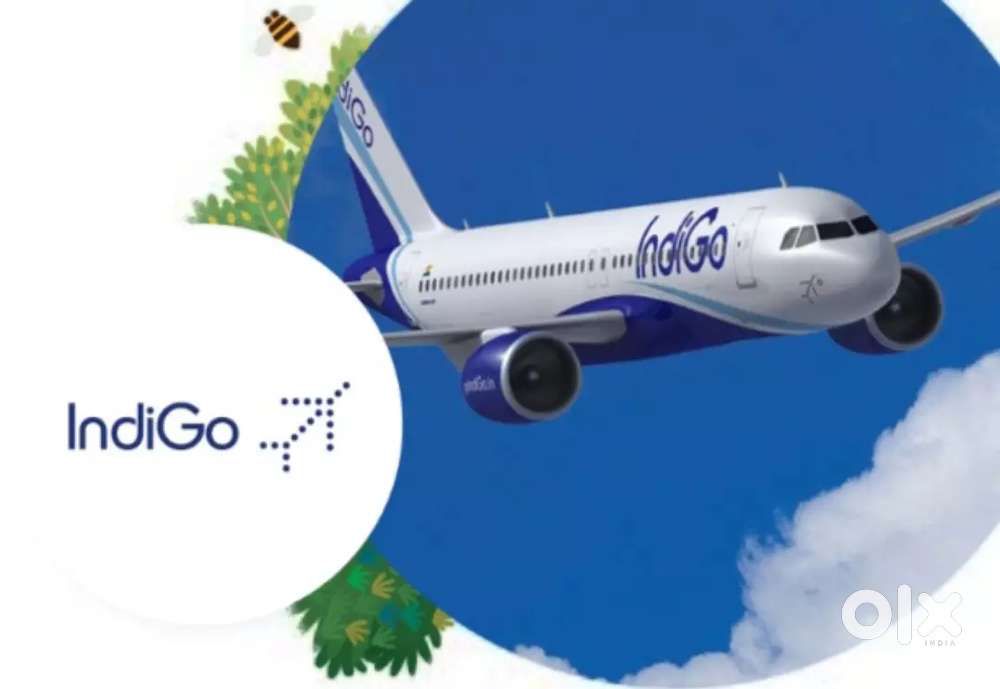 Executive Support Job for Fresher Great Opportunity 2025