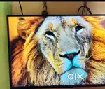 43 inch new seal pack box pack brand new led tv