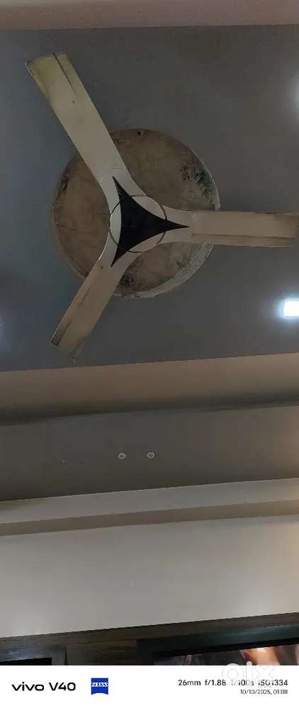 Fan company is SURYA no any issue no problem