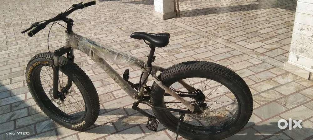 Fat bike cycle
