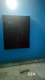 One room for rent