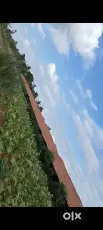 Mangalore Roof tiles for sale