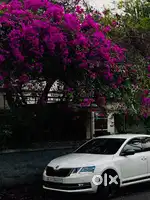 Skoda Octavia 1.8TSI Onyx 2019