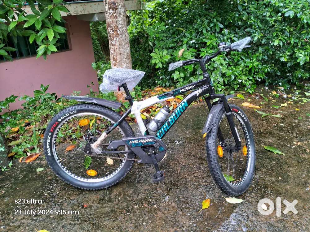Best cycle  and 3 month to cycle
