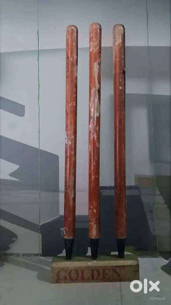 Stumps cricket
