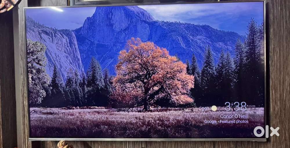LLOYD 65 INCH 4K UHD SMART TV
