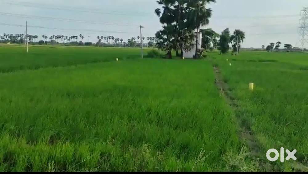 6.5 katha ka plot sports city ke pass  best investment