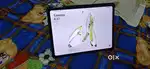 OnePlus pad go Sim LTE calling and WiFi 8+8 GB RAM 256 GB ROM