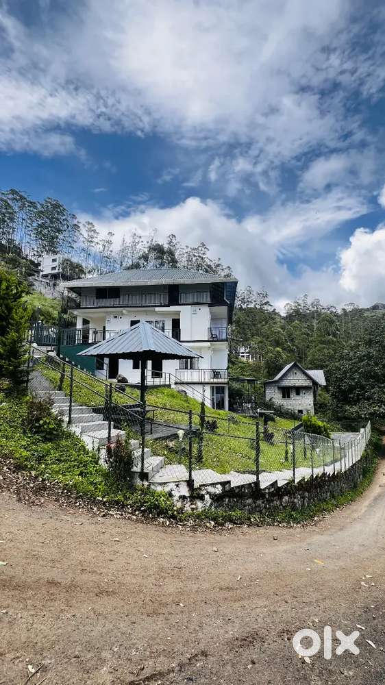 Cook (Basic South Indian & Kerala Dishes)