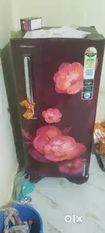 Voltas Beko Brand new fridge