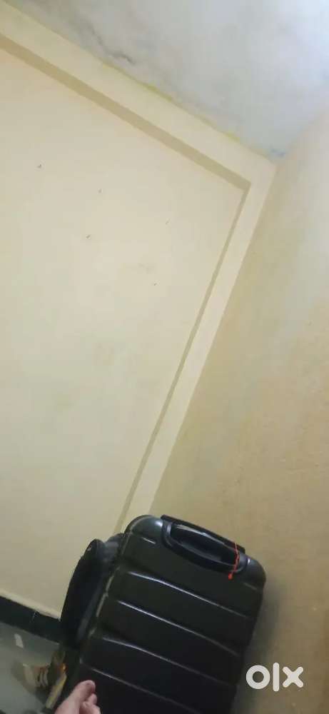 Need 1 girl roommate for sharing