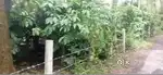5 Acre Well-Maintained Coffee Estate for Sale – Kushalnagar