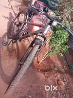 Sports Cycle single speed