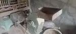 Pindi millu
