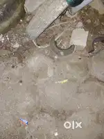 Good condition bike