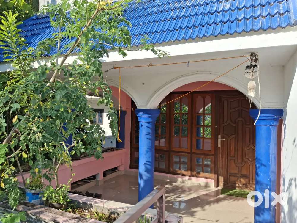 Bed space for one lady roommate