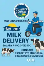 Wanted partime milk delivery boys