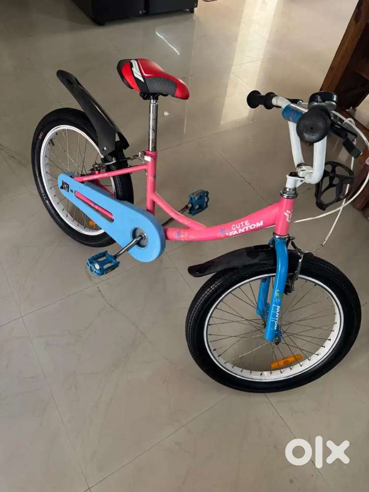 Fantom Cute 20inch Cycle for Girl up for sale