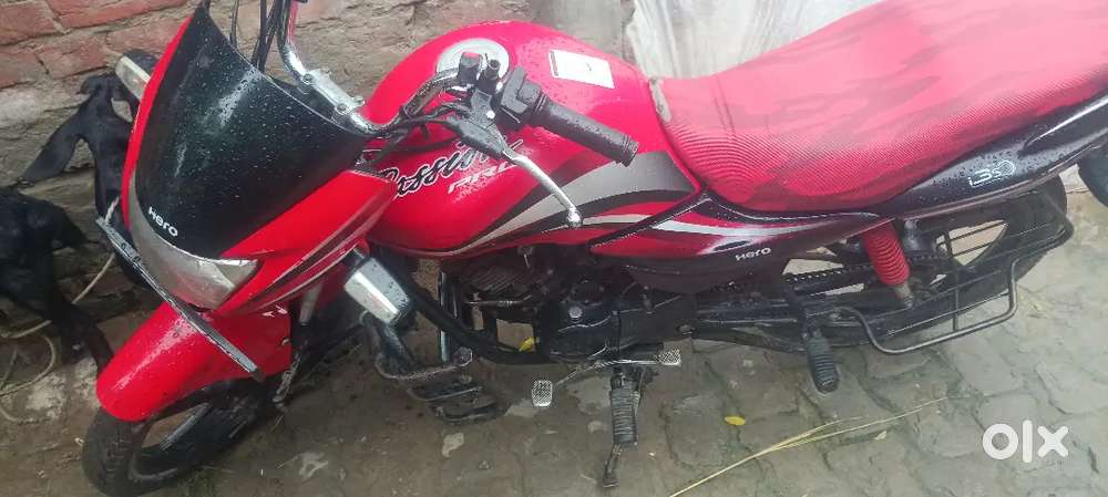 I3s Passion Pro