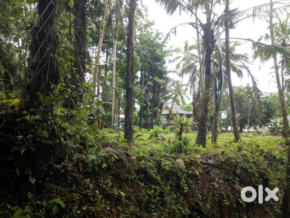 30 cent commercial plot for sale near malikadavu by pass
