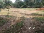 Agriculture Land Sale in Pali Khopoli Road