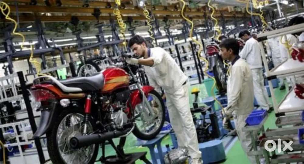 Were hiring freshers for job